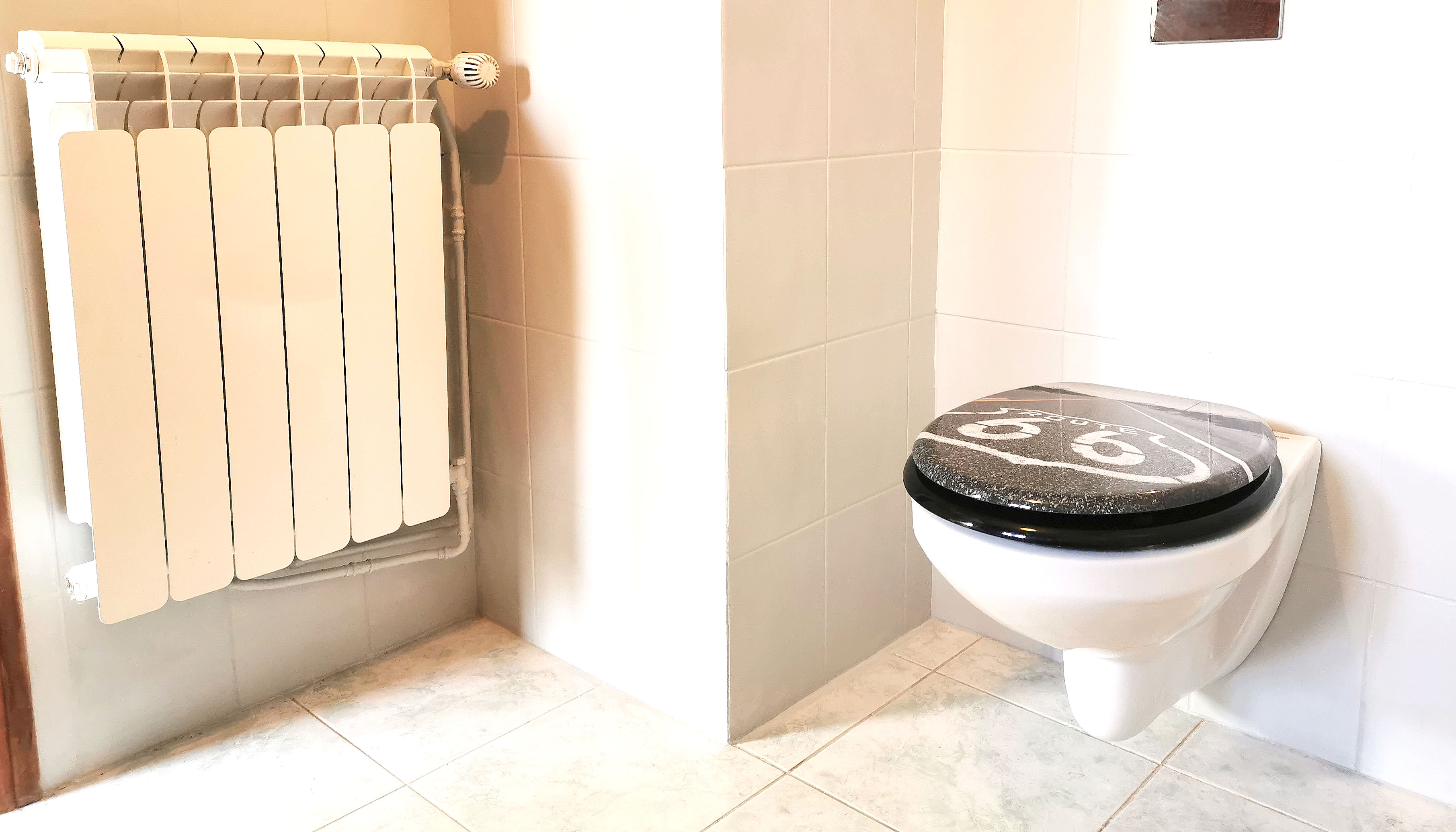 Mise en place d'un WC suspendu et d'un radiateur par l'entreprise GUY Plomberie